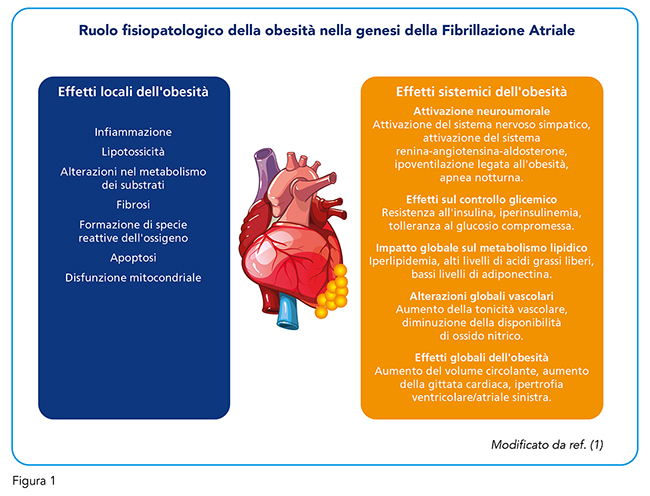 Figura 1
